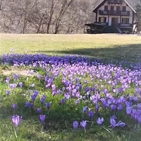 Casa De Vacanta Satic Piatra Craiului La Doi Viermi Εξωτερικό φωτογραφία