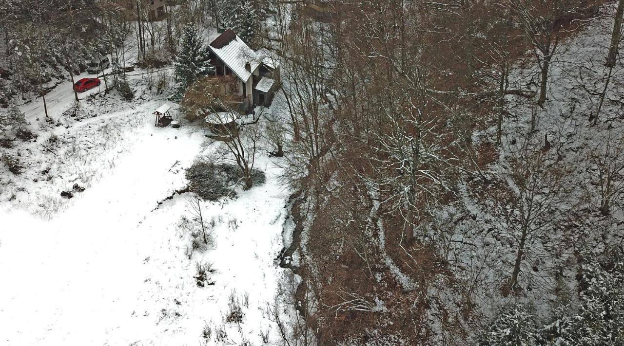Casa De Vacanta Satic Piatra Craiului La Doi Viermi Εξωτερικό φωτογραφία