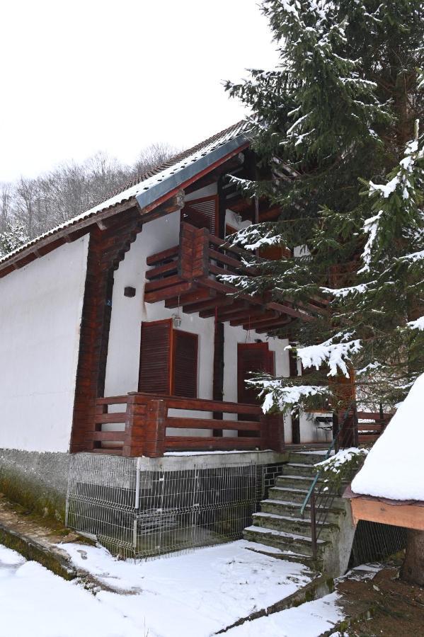 Casa De Vacanta Satic Piatra Craiului La Doi Viermi Εξωτερικό φωτογραφία