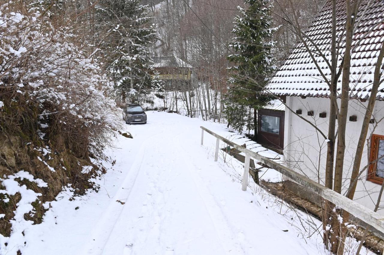 Casa De Vacanta Satic Piatra Craiului La Doi Viermi Εξωτερικό φωτογραφία