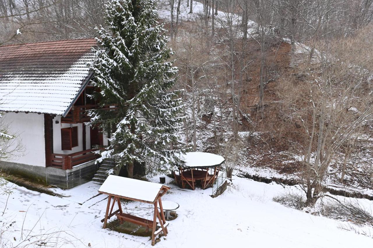 Casa De Vacanta Satic Piatra Craiului La Doi Viermi Εξωτερικό φωτογραφία