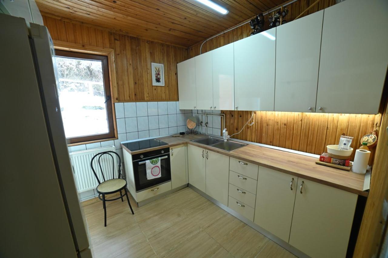 Casa De Vacanta Satic Piatra Craiului La Doi Viermi Εξωτερικό φωτογραφία