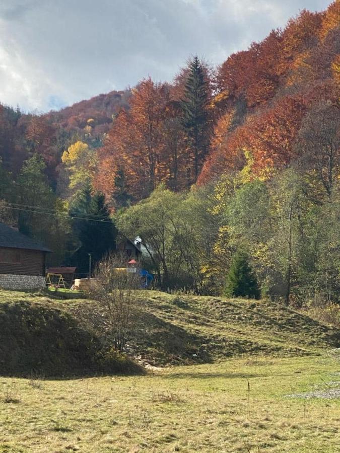 Casa De Vacanta Satic Piatra Craiului La Doi Viermi Εξωτερικό φωτογραφία