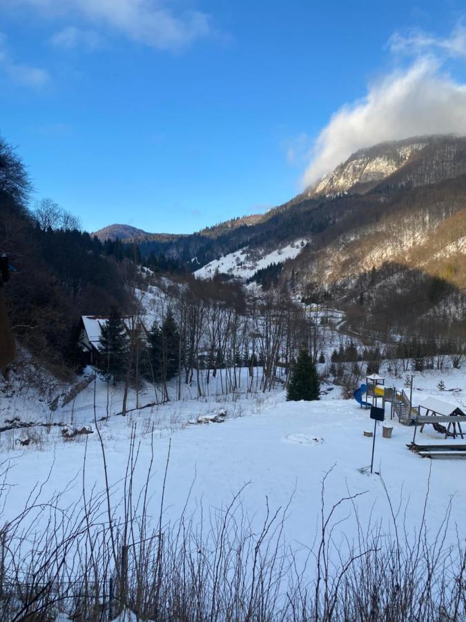 Casa De Vacanta Satic Piatra Craiului La Doi Viermi Εξωτερικό φωτογραφία