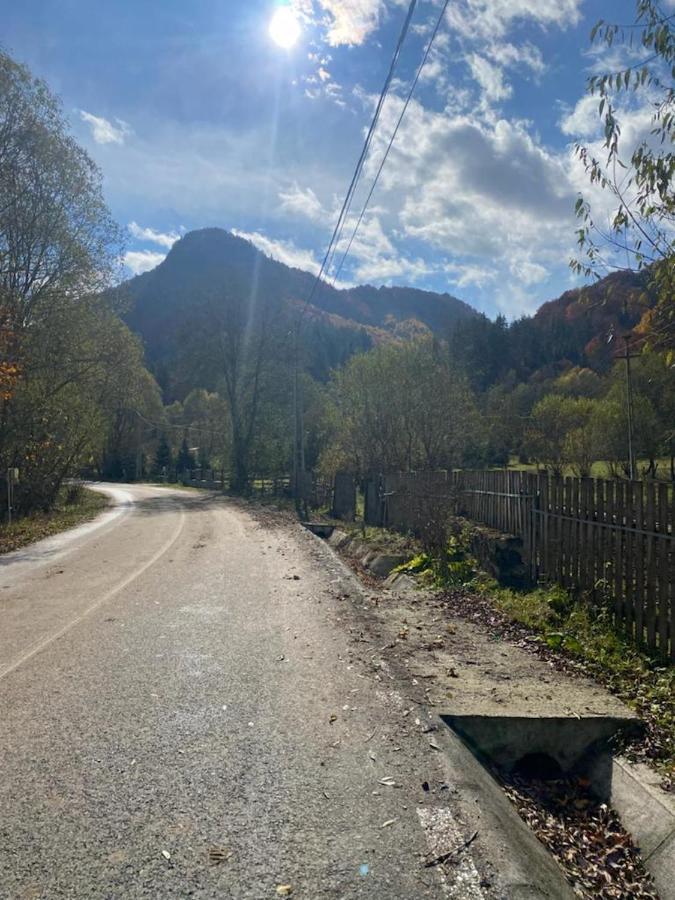 Casa De Vacanta Satic Piatra Craiului La Doi Viermi Εξωτερικό φωτογραφία