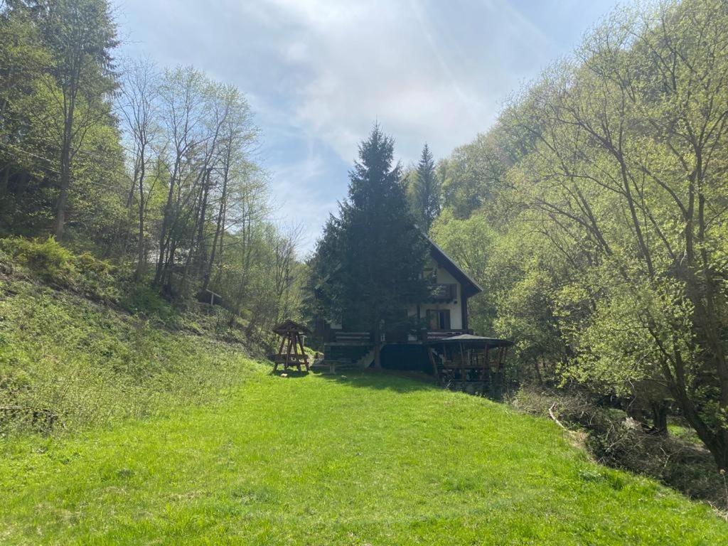 Casa De Vacanta Satic Piatra Craiului La Doi Viermi Εξωτερικό φωτογραφία