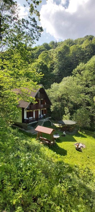 Casa De Vacanta Satic Piatra Craiului La Doi Viermi Εξωτερικό φωτογραφία