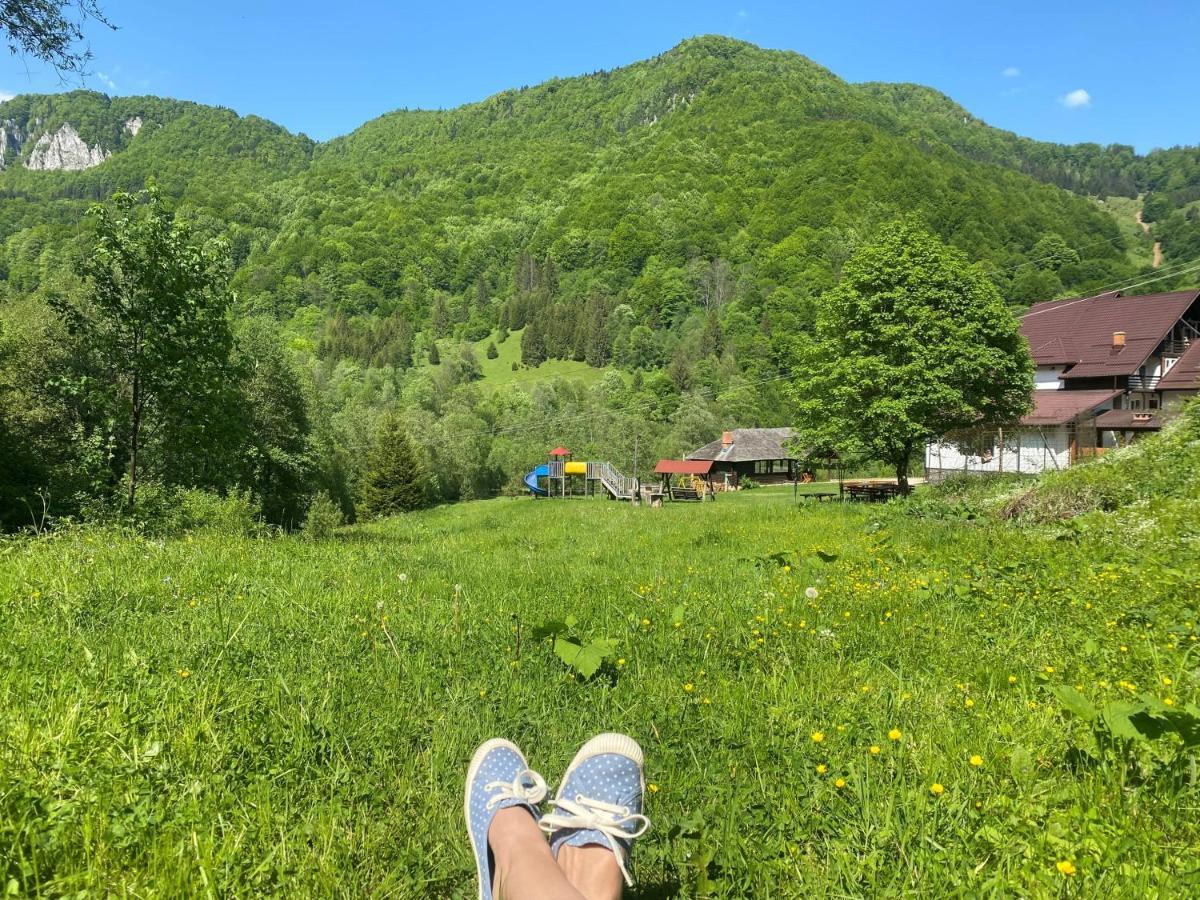 Casa De Vacanta Satic Piatra Craiului La Doi Viermi Εξωτερικό φωτογραφία