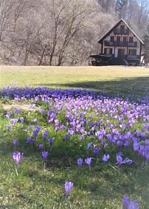 Casa De Vacanta Satic Piatra Craiului La Doi Viermi Εξωτερικό φωτογραφία