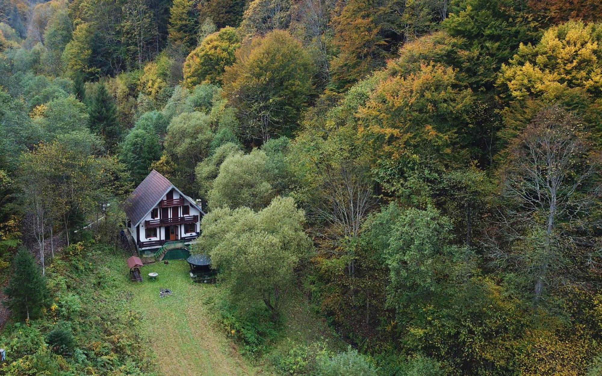 Casa De Vacanta Satic Piatra Craiului La Doi Viermi Εξωτερικό φωτογραφία